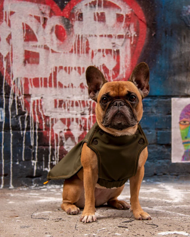 Brownie Waterproof Raincoat in Olive