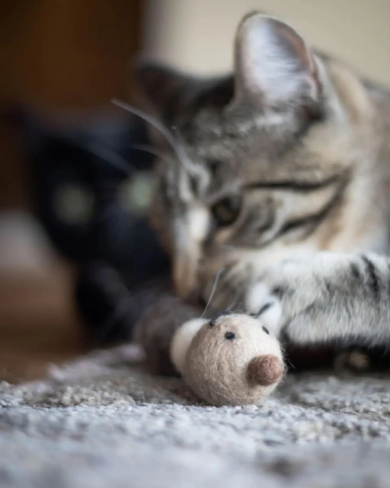 Brownie the Caterpillar Natural Wool Cat Toy - Image 2