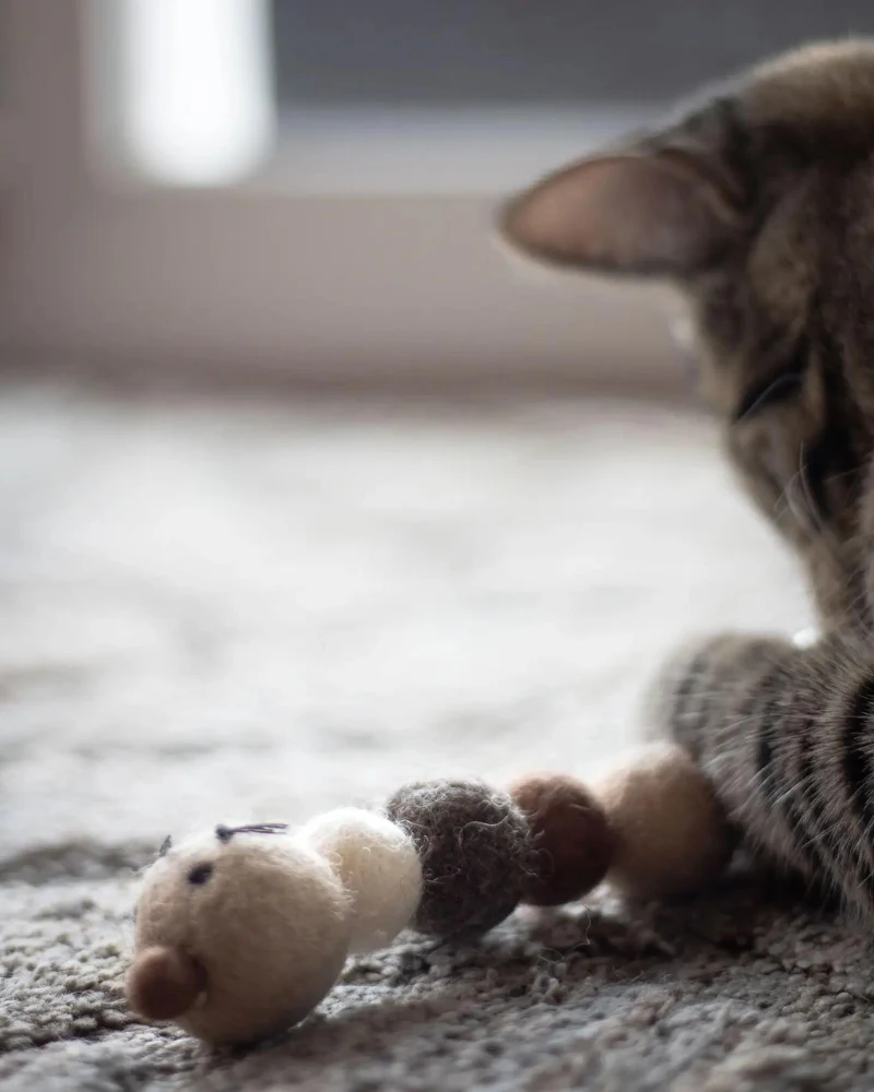 Brownie the Caterpillar Natural Wool Cat Toy - Image 4
