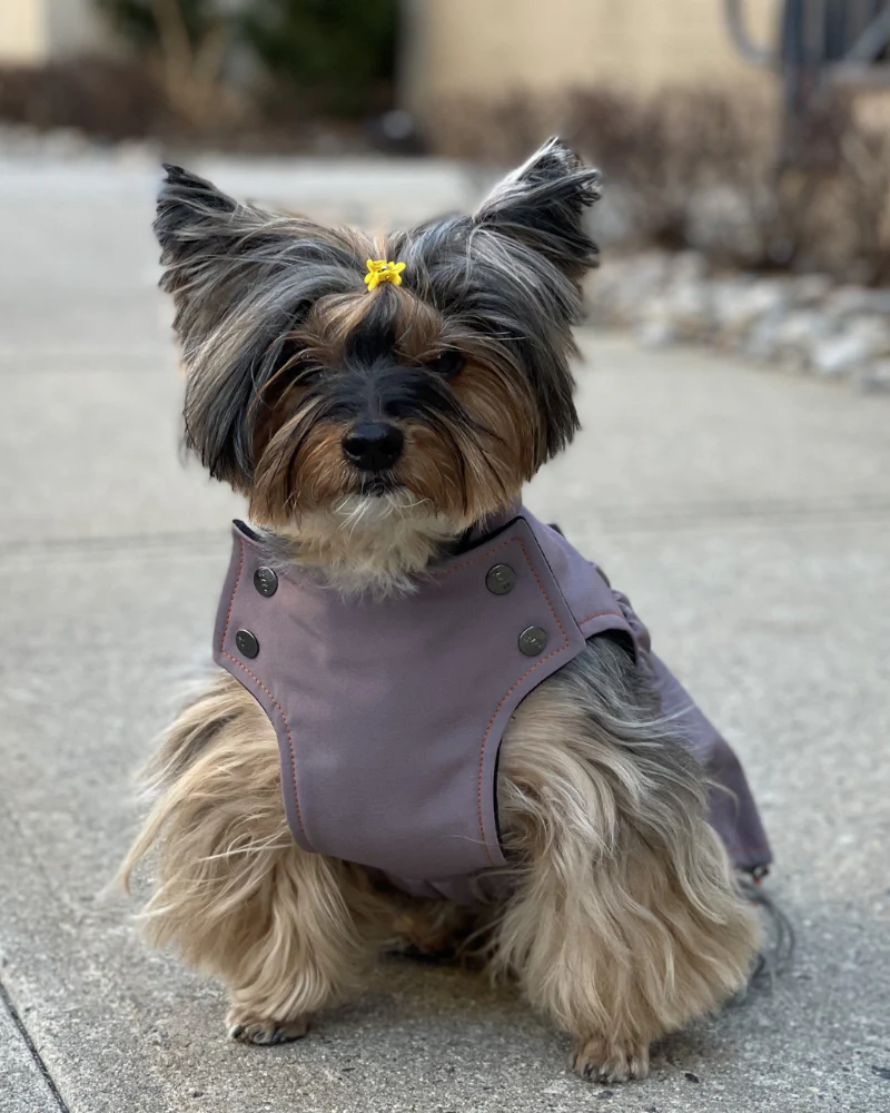 Brownie Waterproof Raincoat in Fig (FINAL SALE) - Image 5