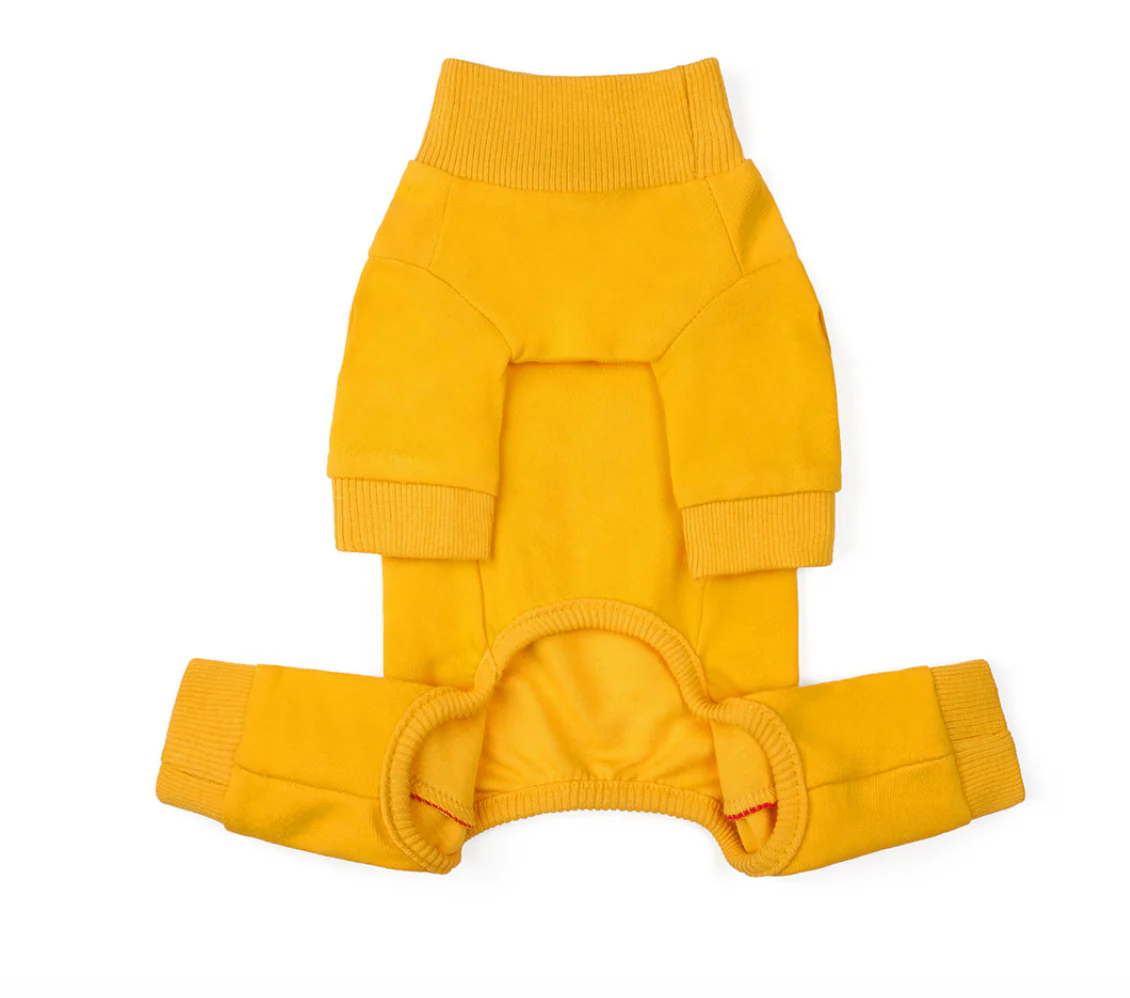 Bruce Warmer Dog Onesie in Yellow << FINAL SALE >> - Image 5