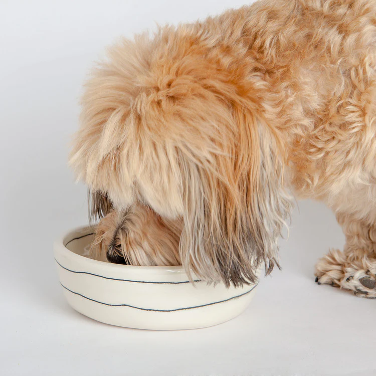 Dots Dog Bowl in Black + White (Dog & Co. Exclusive) - Image 7