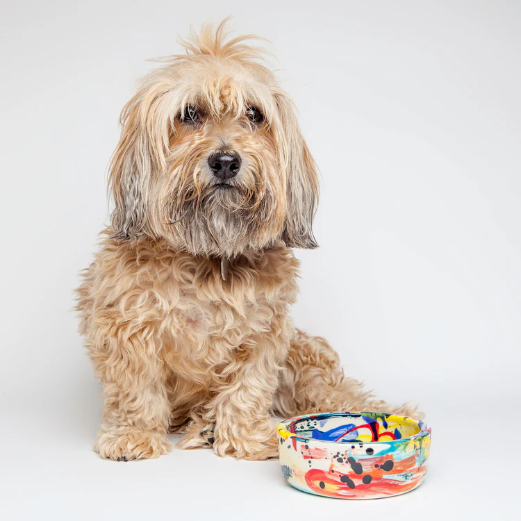 Wacky Dog Bowl (DOG & CO. Exclusive) - Image 3