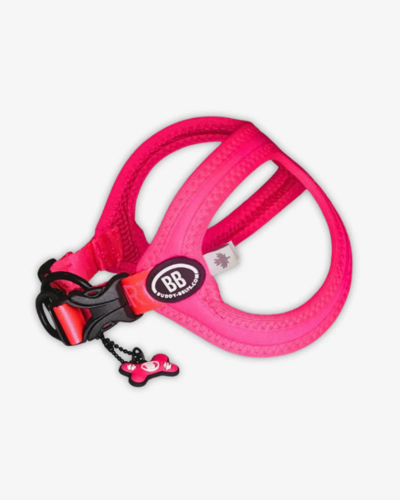 Buddy Belt Sport Harness for Dogs in Neon Pink - Image 2