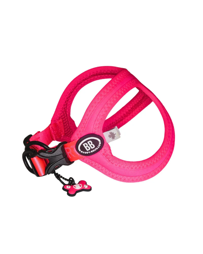 Buddy Belt Sport Harness for Dogs in Neon Pink - Image 4