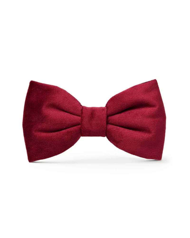 Burgundy Velvet Dog Bow Tie - Image 2