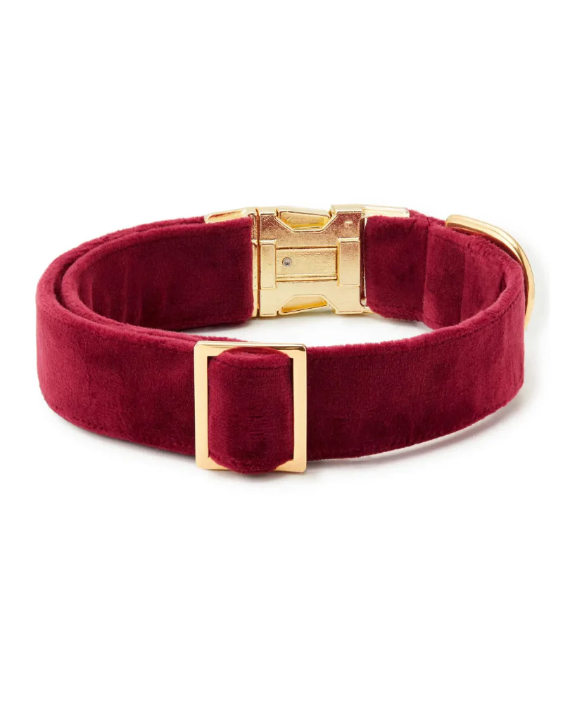 Burgundy Velvet Dog Collar (FINAL SALE) - Image 2