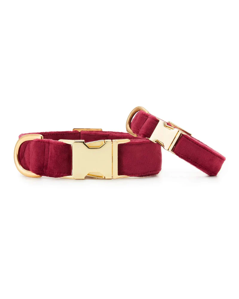 Burgundy Velvet Dog Collar (FINAL SALE) - Image 3