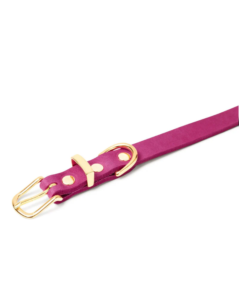 Butter Leather Dog Collar in Flamingo (Made in Austria) - Image 4