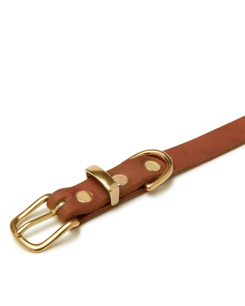 Butter Leather Dog Collar in Sahara Cognac (Made in Austria) - Image 3