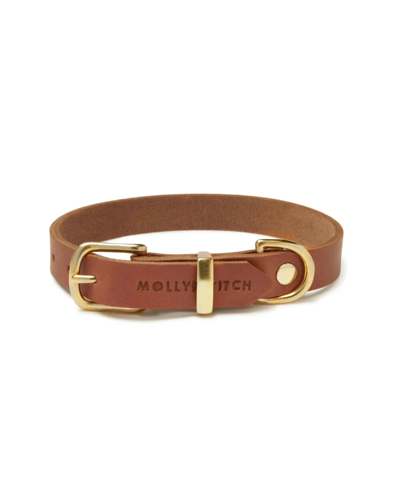 Butter Leather Dog Collar in Sahara Cognac (Made in Austria) - Image 4