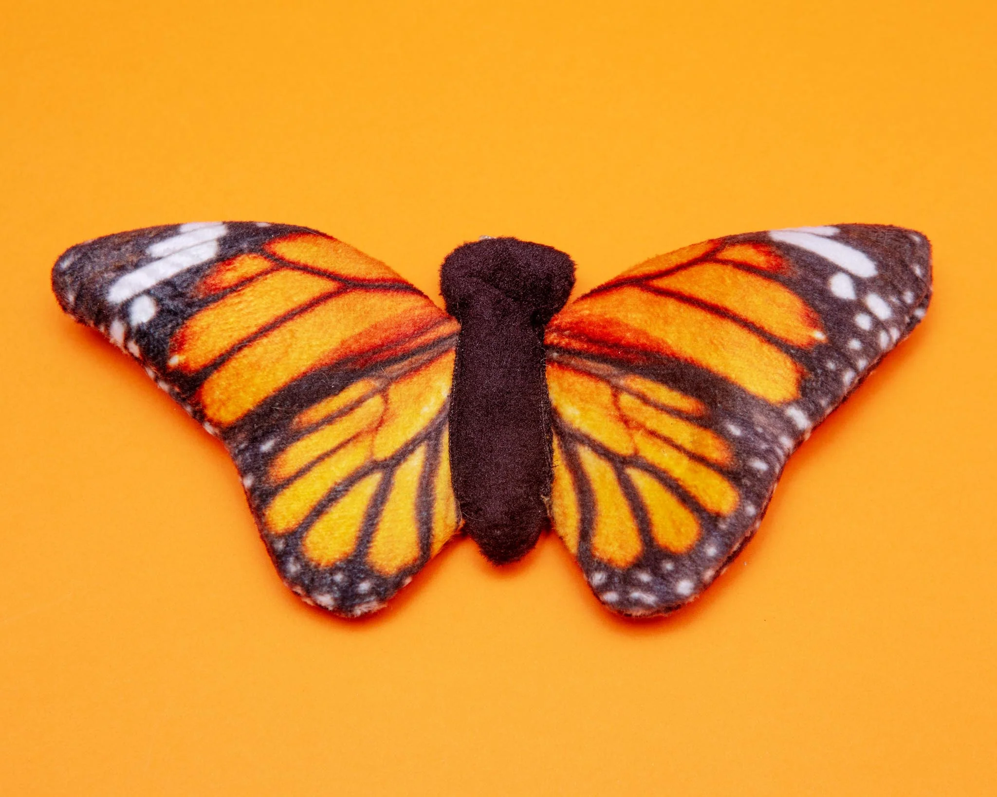 Butterfly Squeaky Dog Toy - Image 3