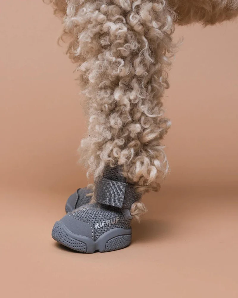 Caesar Dog Sneakers in Grey Wool (FINAL SALE) - Image 2
