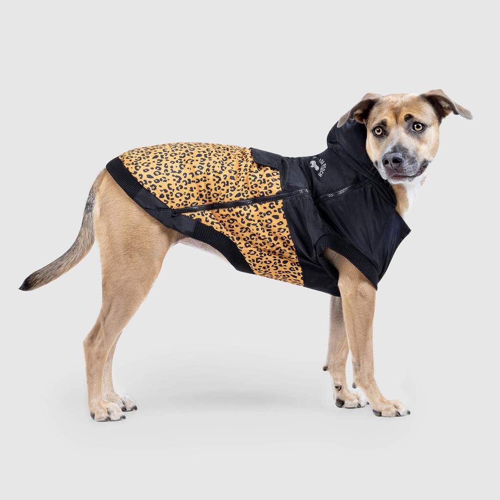 360 Jacket in Leopard (FINAL SALE) - Image 2