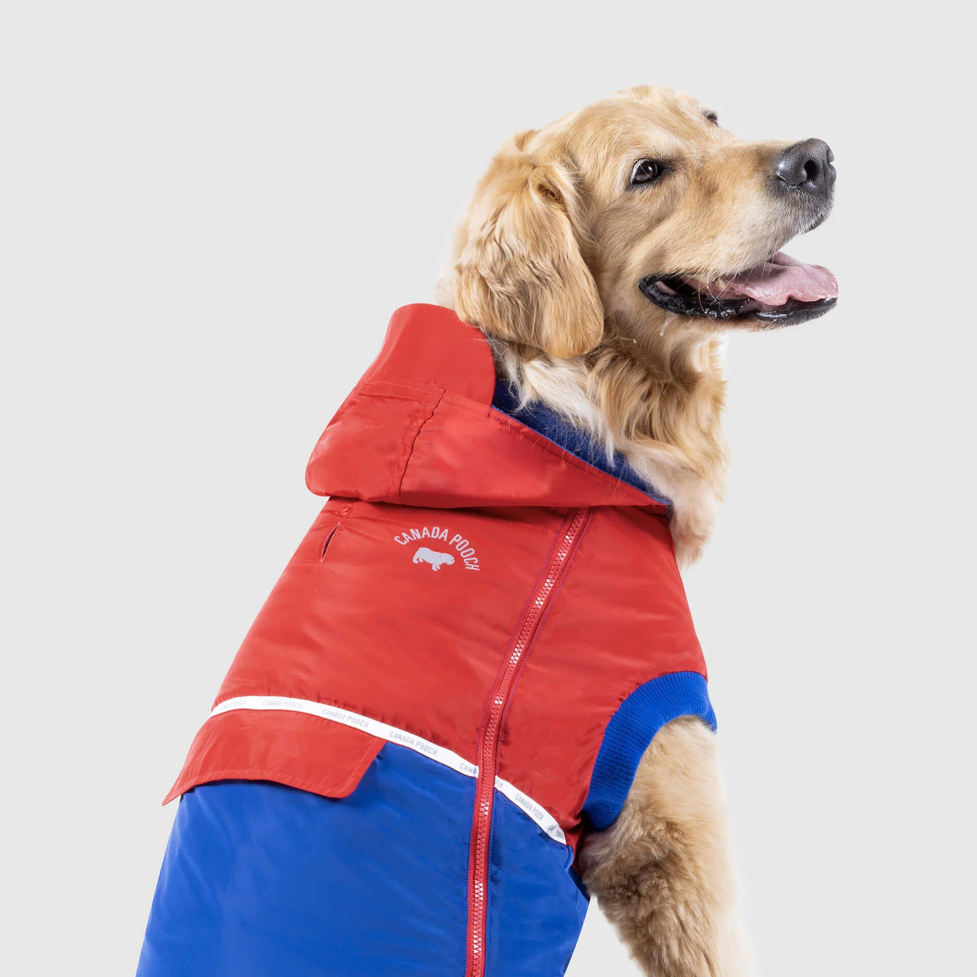 360 Jacket in Red and Blue (FINAL SALE) - Image 2