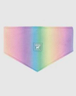 Chill Seeker Cooling Dog Bandana in Rainbow << CLEARANCE >> - Image 4