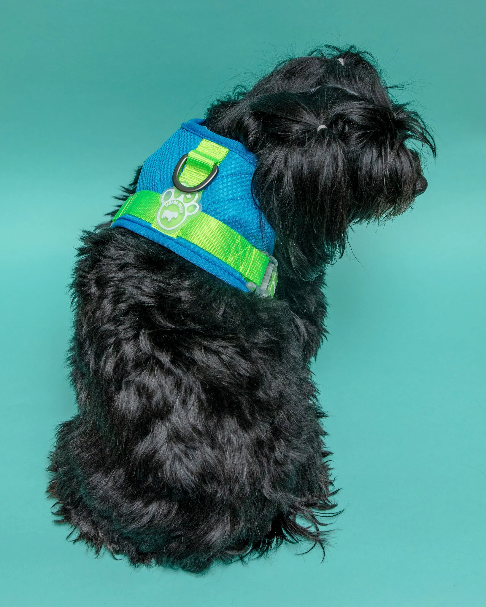 Chill Seeker Cooling Dog Harness in Blue and Green << CLEARANCE >> - Image 4