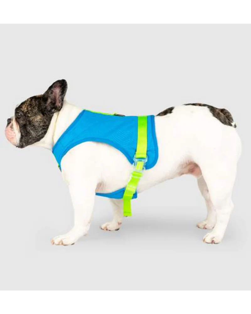 Chill Seeker Cooling Dog Harness in Blue and Green << CLEARANCE >> - Image 6