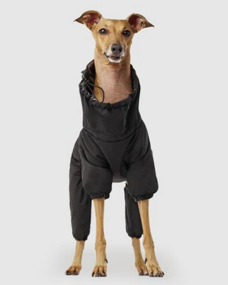 Winter Dog Snowsuit In Black (FINAL SALE) - Image 4