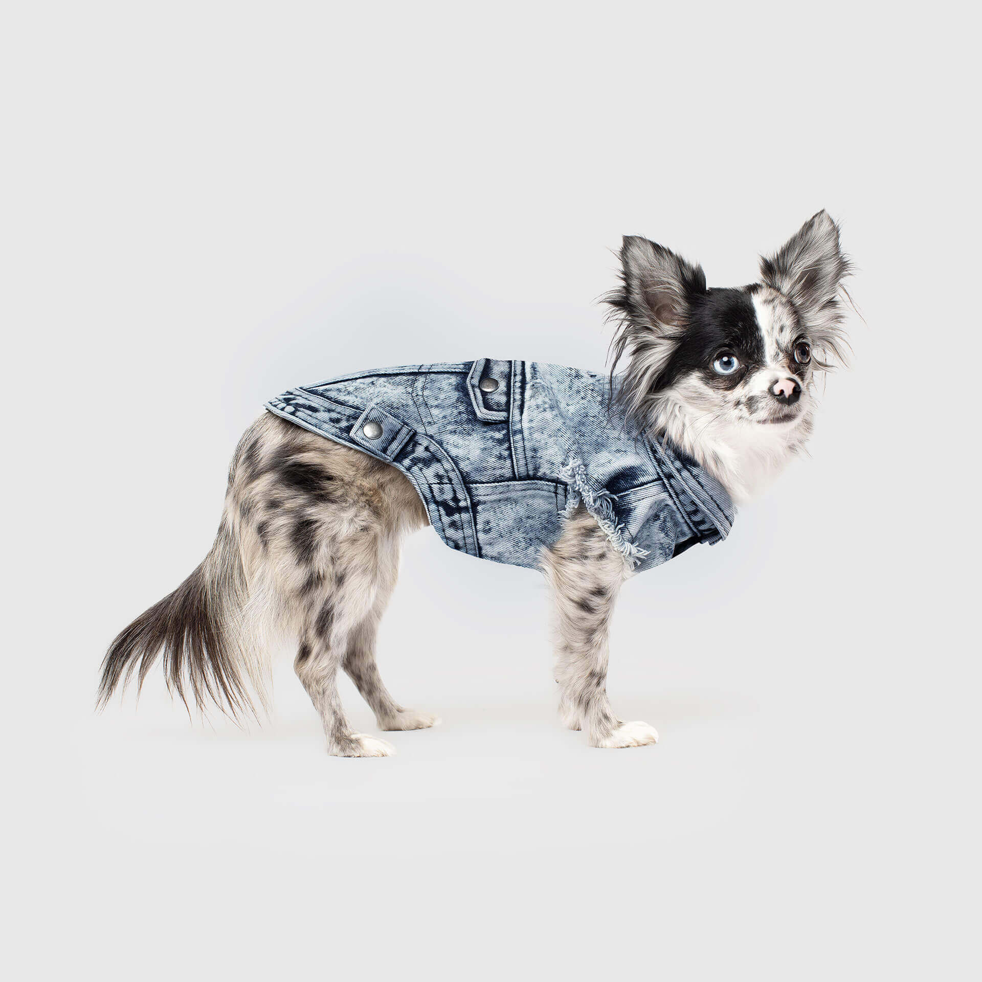 CANADA POOCH | Downtown Denim Vest - Image 3