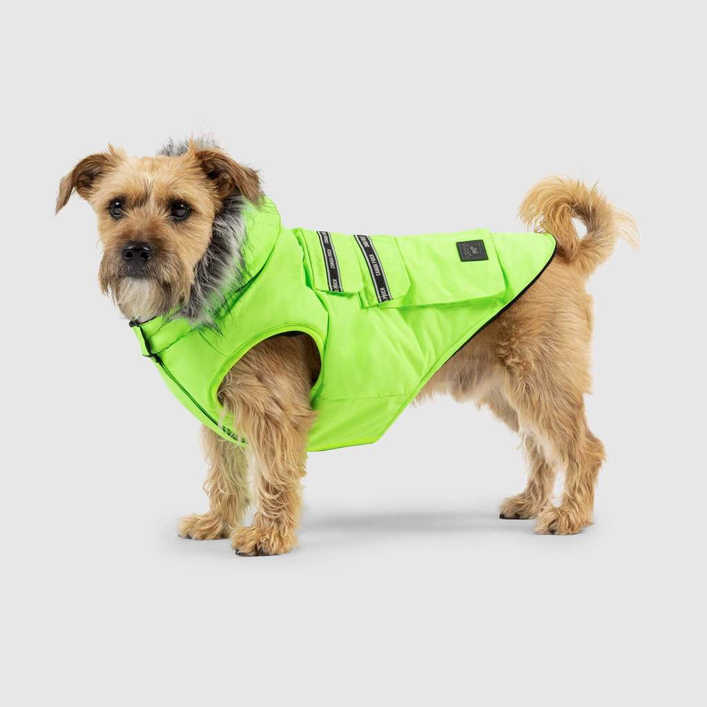 Everest Explorer Vest in Neon Green (FINAL SALE) - Image 2