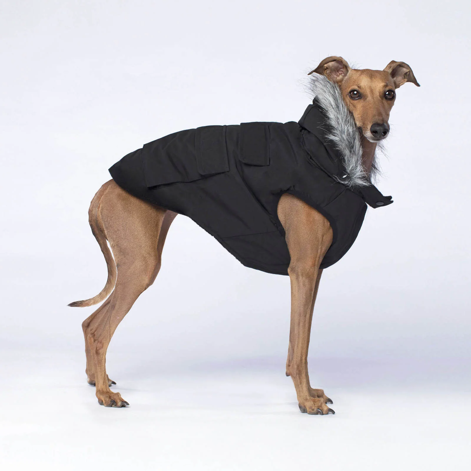 CANADA POOCH | Everest Explorer Vest in Black - Image 4
