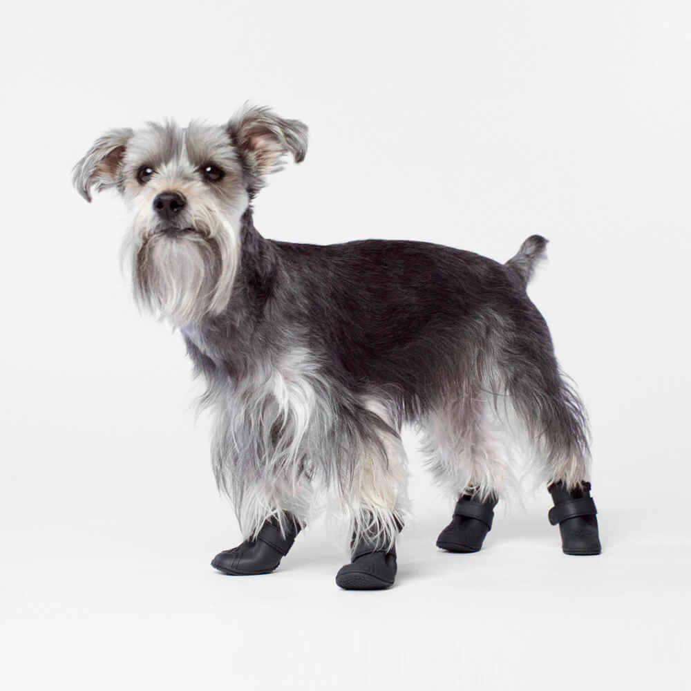 CANADA POOCH | Fleeced Lined Wellies Boots in Black - Image 2