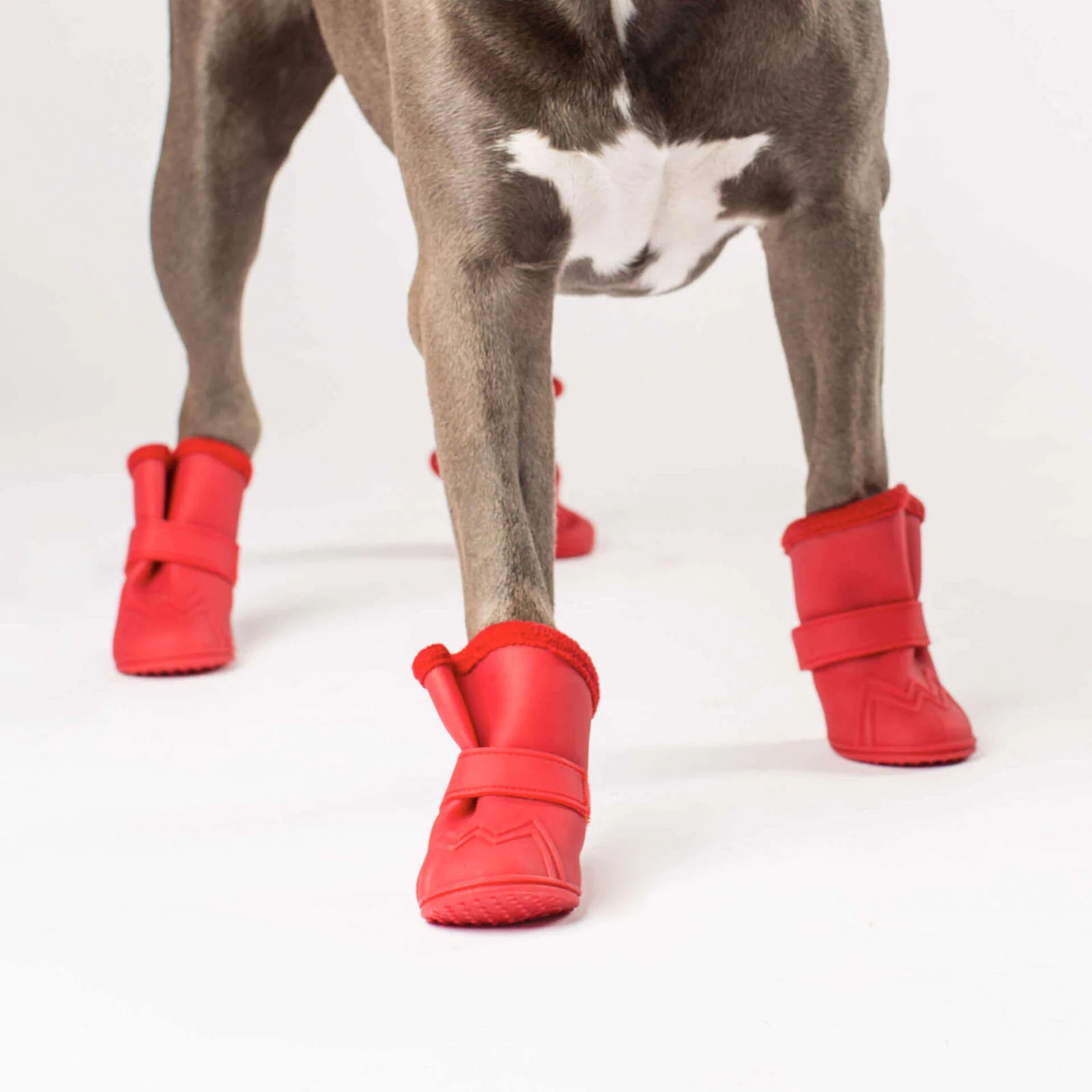 CANADA POOCH | Fleeced Lined Wellies Boot in Red (BIG DOG SALE) - Image 3