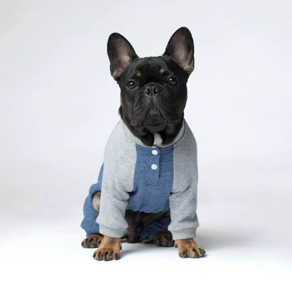 CANADA POOCH | Frosty Fleece Sweatsuit in Blue - Image 3