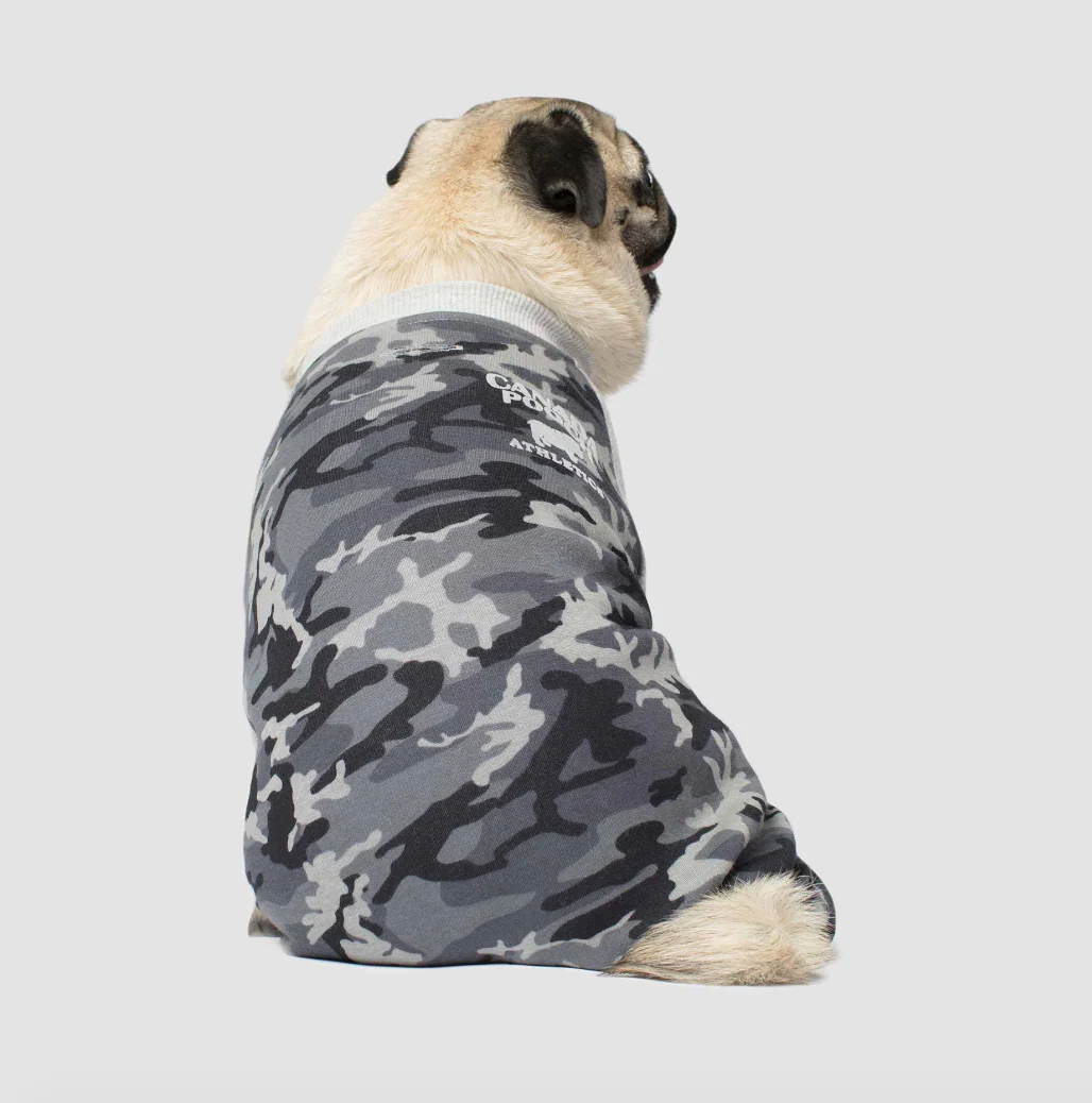 CANADA POOCH | Frosty Fleece Sweatsuit in Grey Camo - Image 3