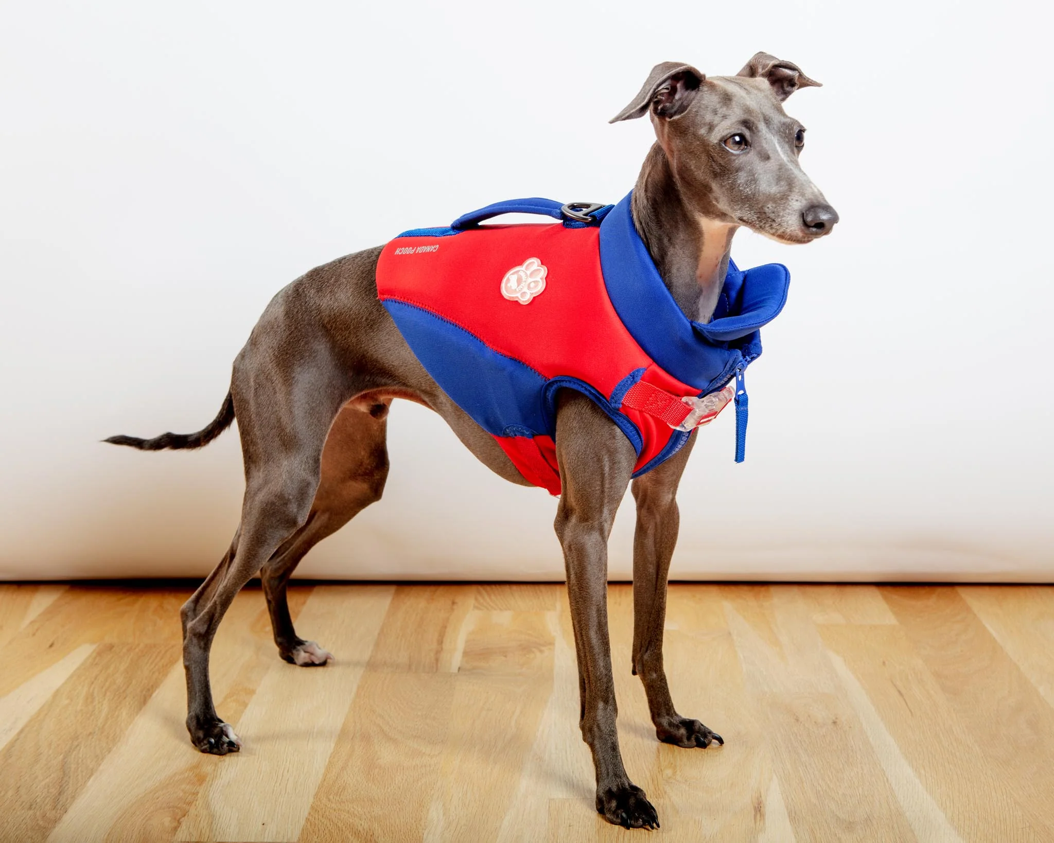High Tide Dog Life Jacket in Blue & Red (FINAL SALE) - Image 6
