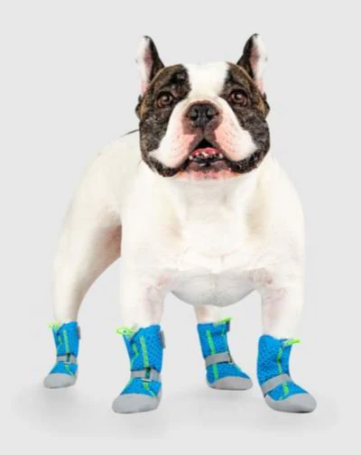 Hot Pavement Dog Boots in Blue and Green << CLEARANCE >> - Image 2