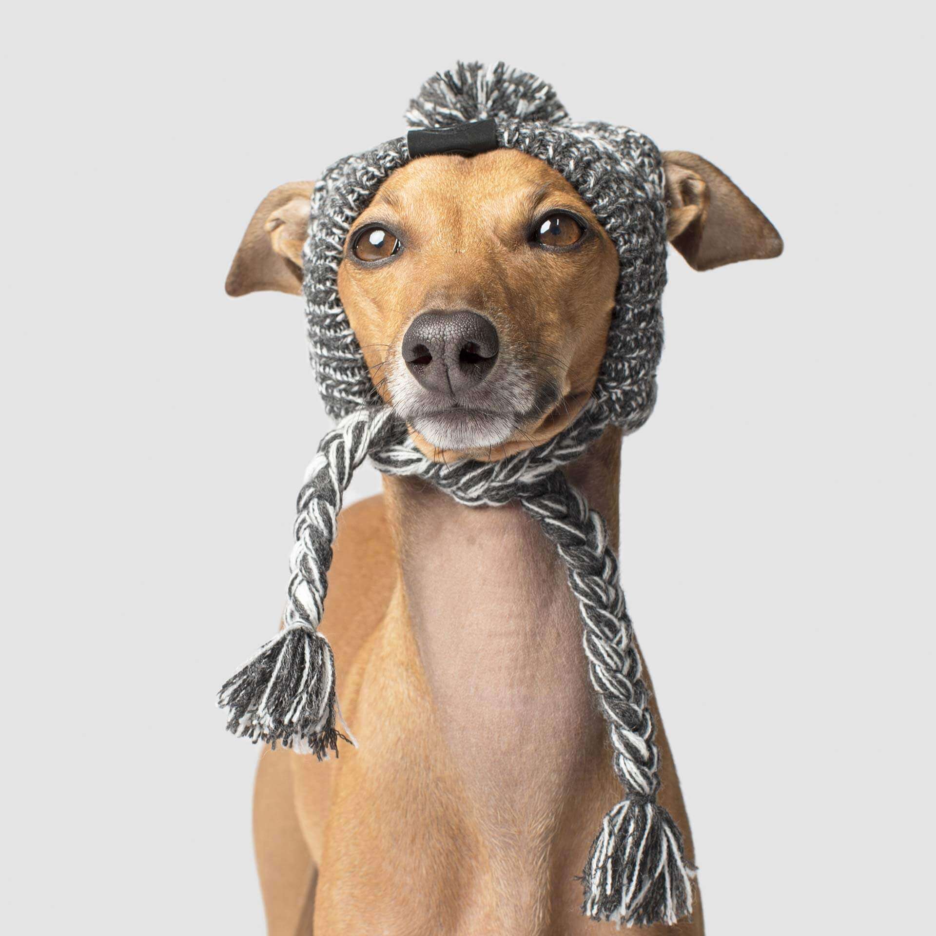 Polar Pom Pom Hat in Charcoal (FINAL SALE) - Image 2