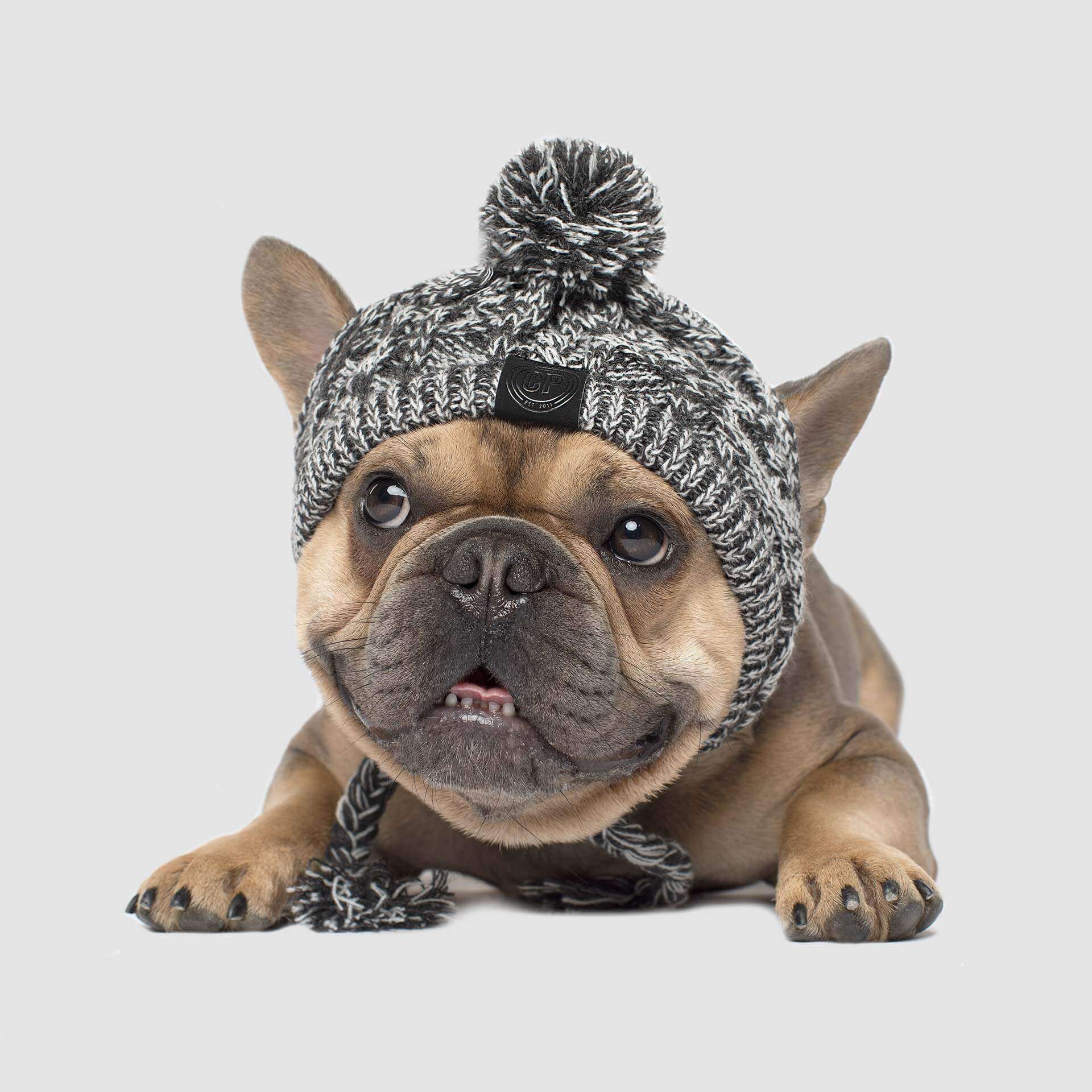 Polar Pom Pom Hat in Charcoal (FINAL SALE) - Image 3