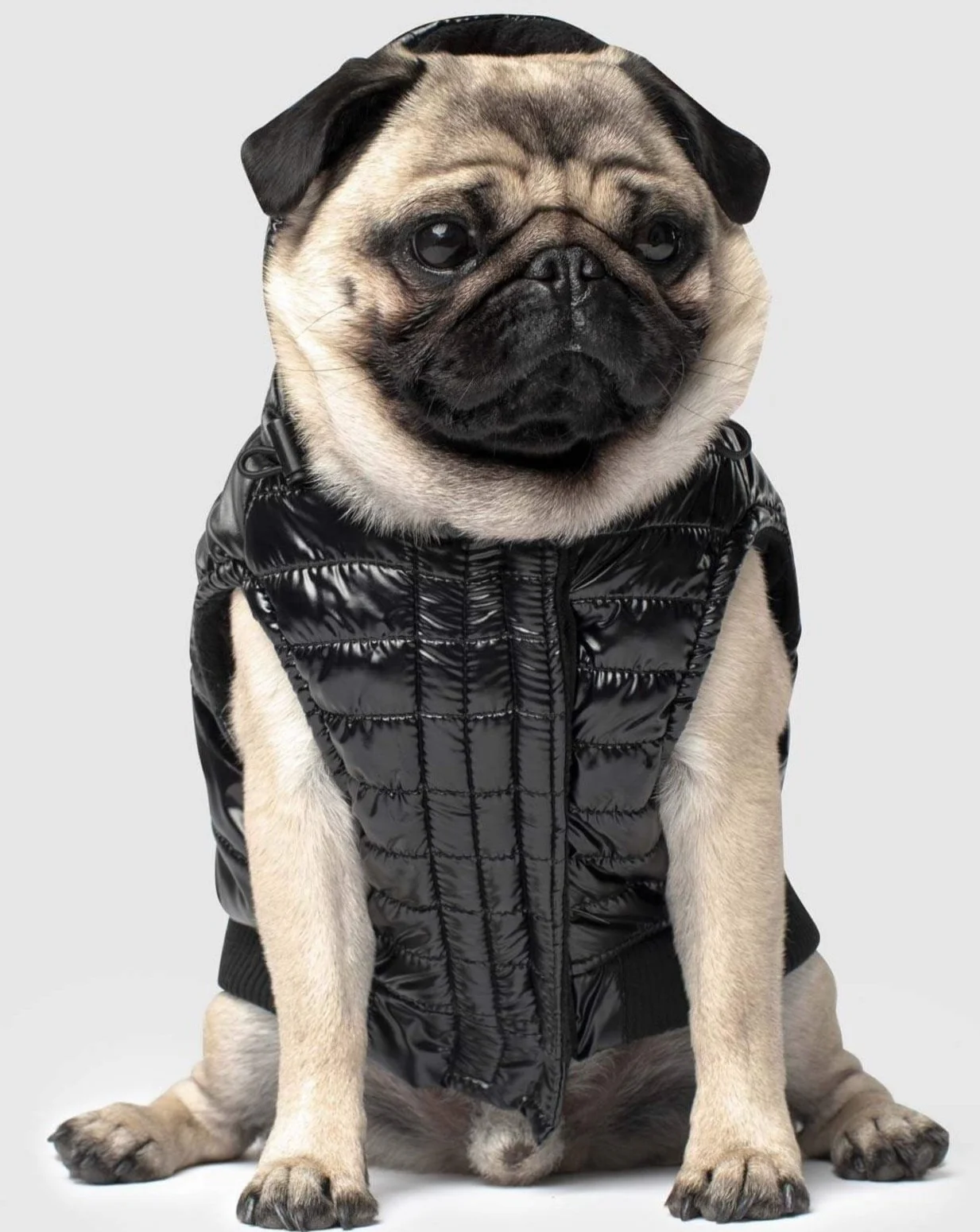 Shiny Puffer Dog Coat in Black (FINAL SALE) - Image 4