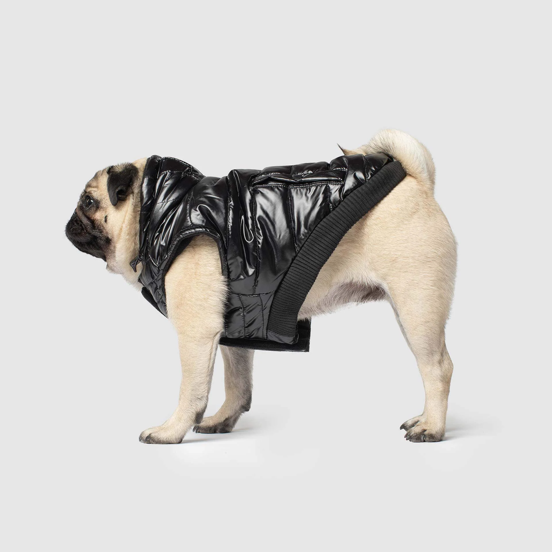 Shiny Puffer Dog Coat in Black (FINAL SALE) - Image 5