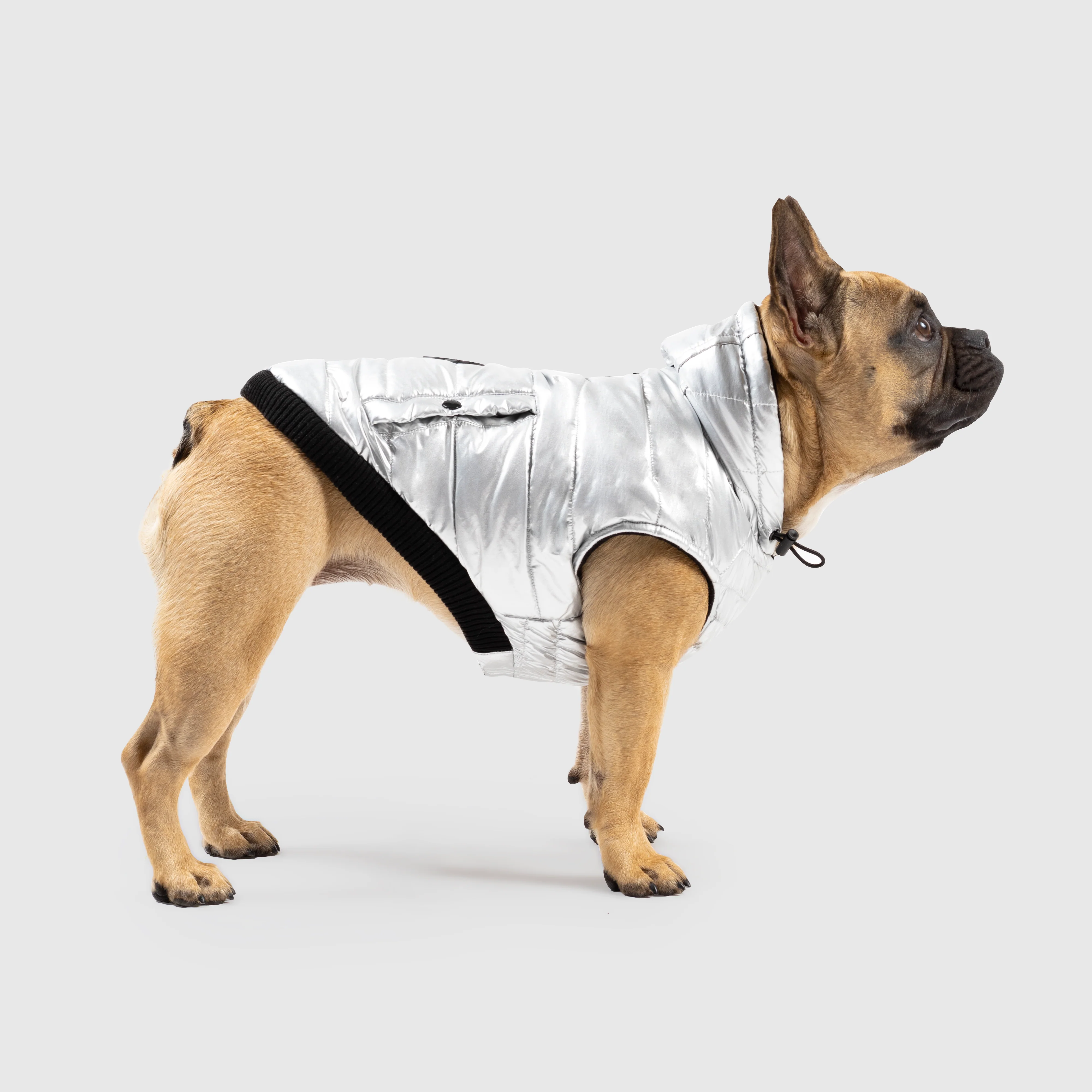 Shiny Puffer Vest in Silver (FINAL SALE) - Image 2
