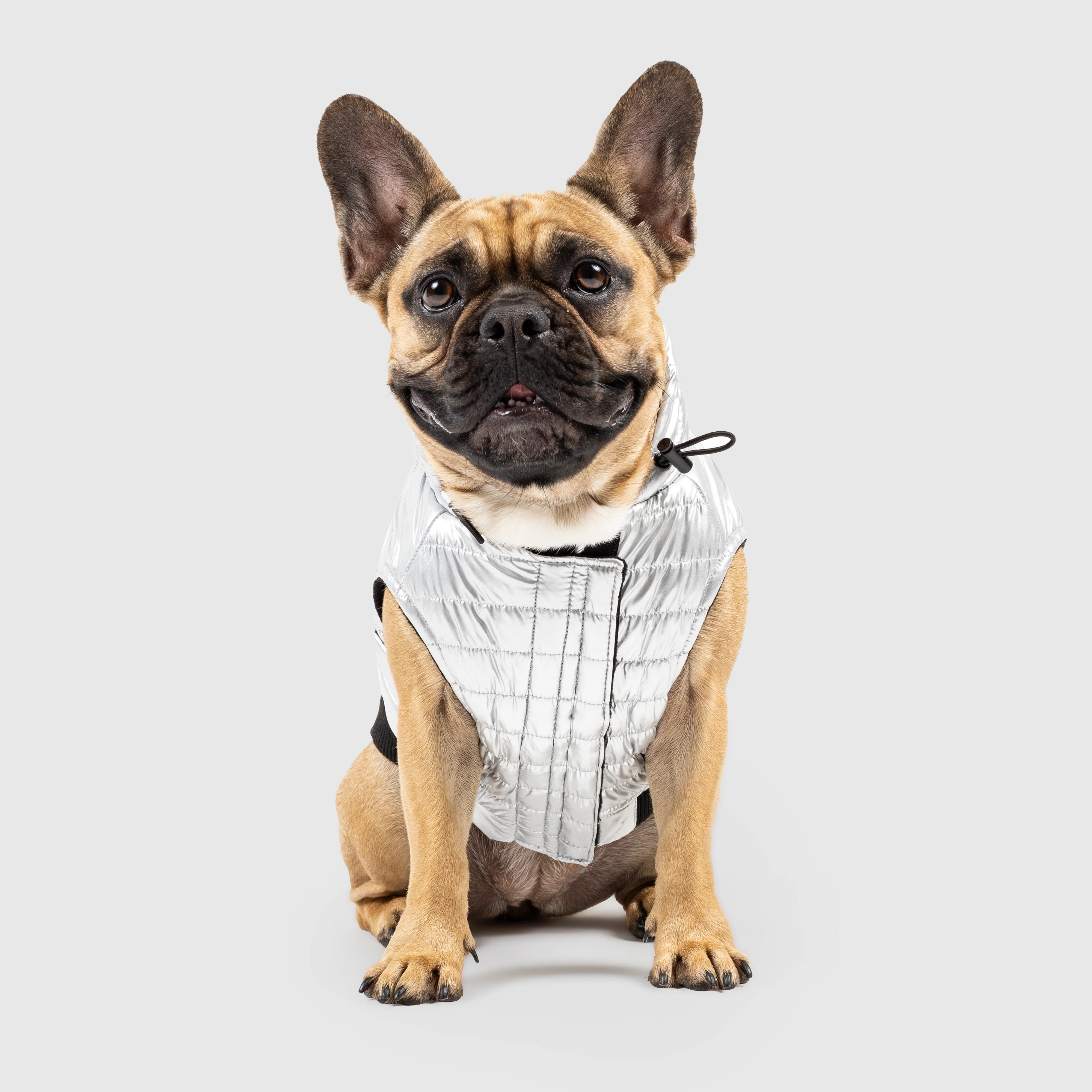 Shiny Puffer Vest in Silver (FINAL SALE) - Image 3