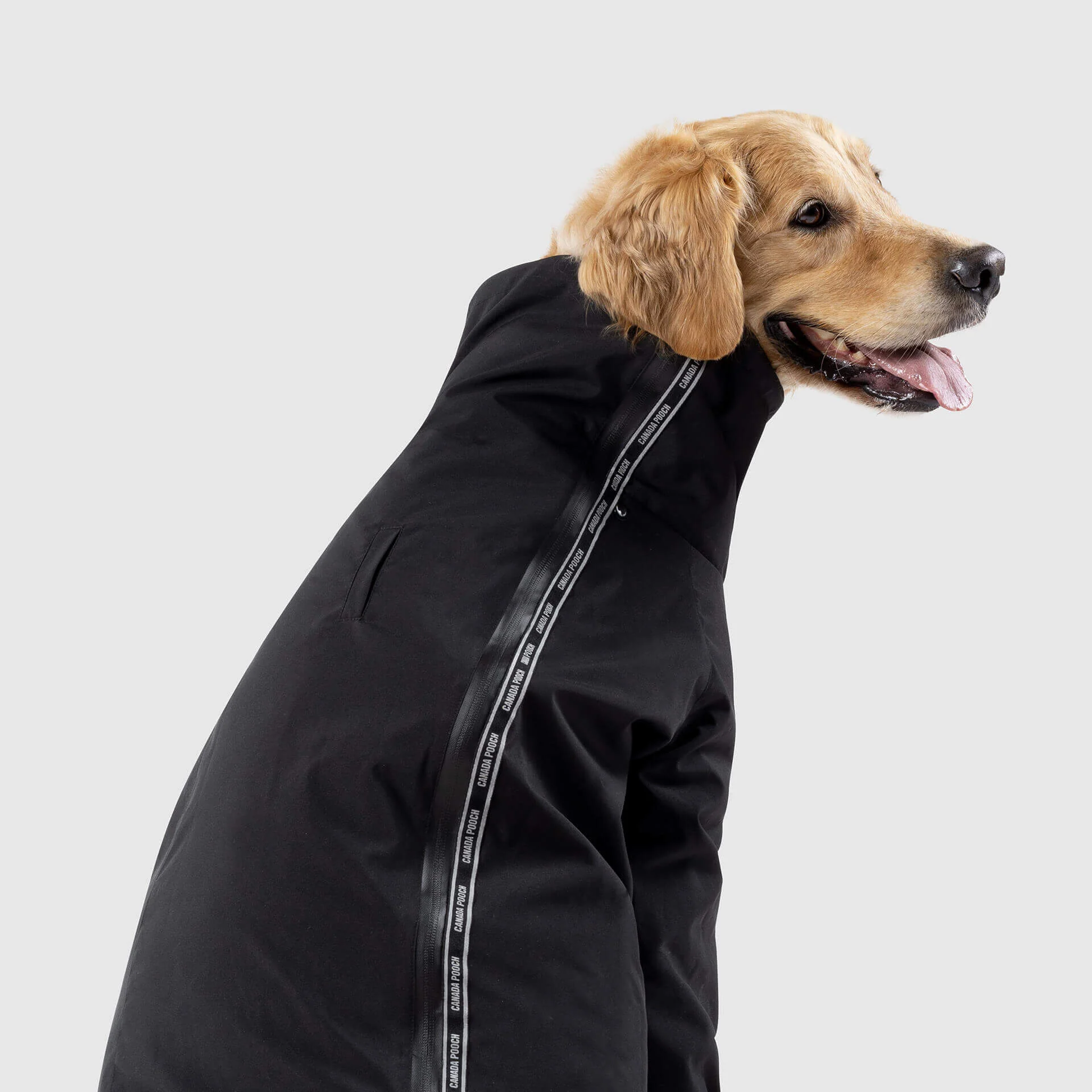 Slush Suit in Black (FINAL SALE) - Image 3