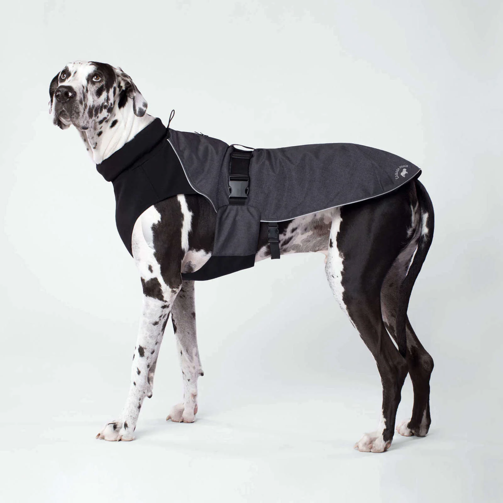 CANADA POOCH | The Expedition Coat in Charcoal (BIG DOG SALE) - Image 4