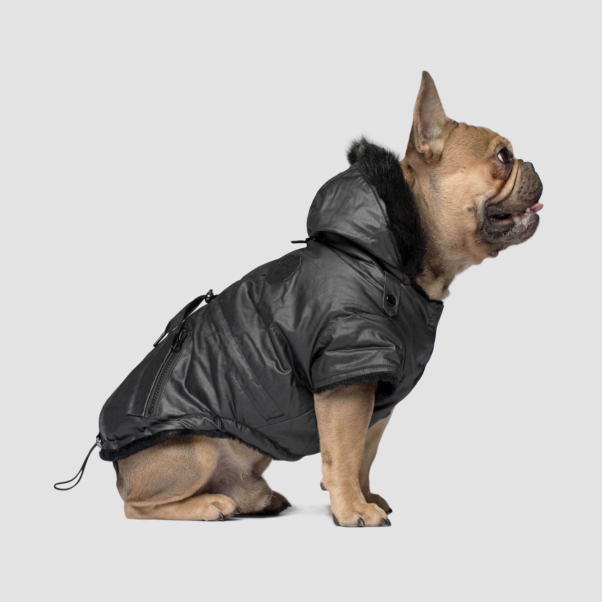 Urban Wax Dog Parka in Black - Image 4