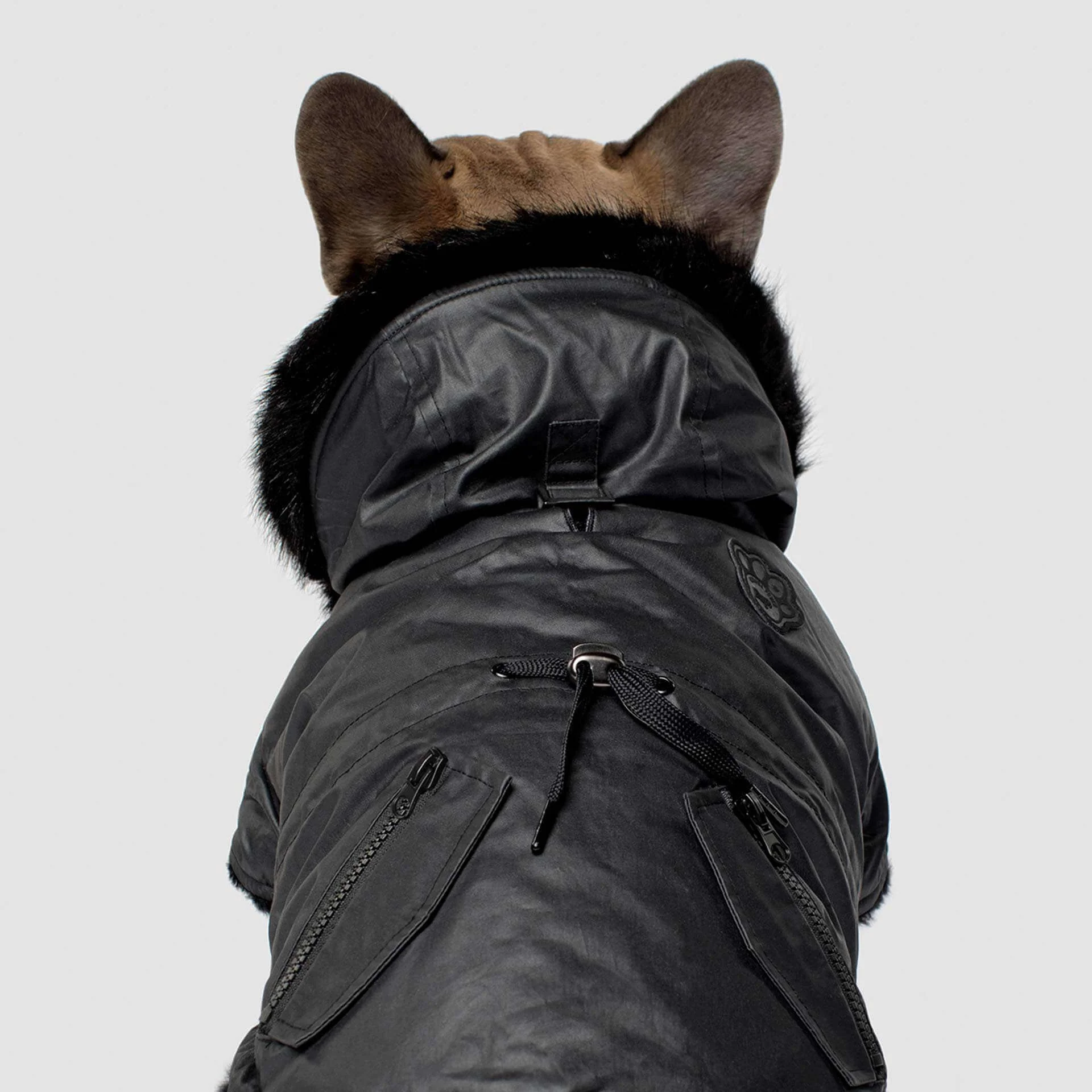 Urban Wax Dog Parka in Black - Image 7