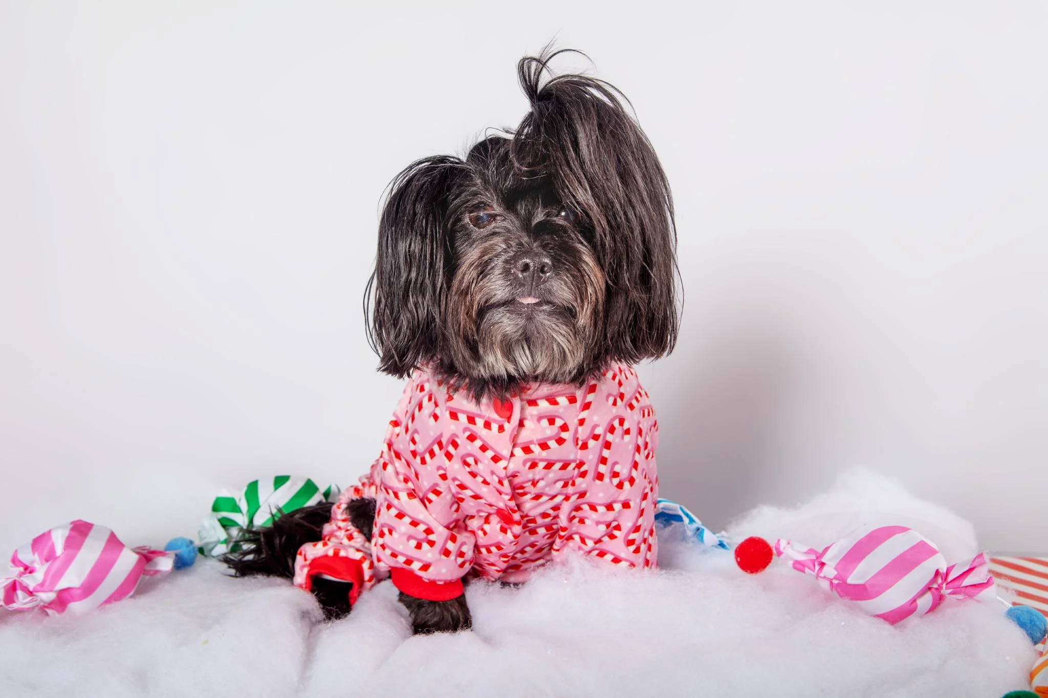 Candy Cane Dog Pajamas (FINAL SALE) - Image 3