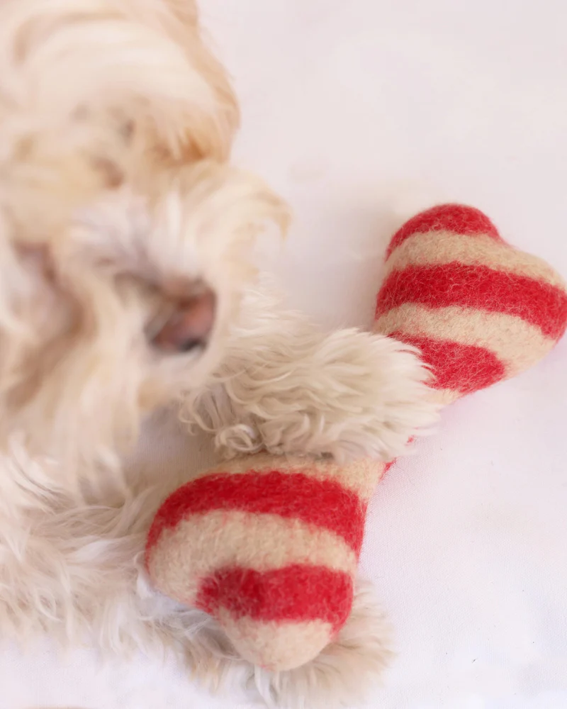 Red Stripe Wool Dog Toy (FINAL SALE) - Image 2