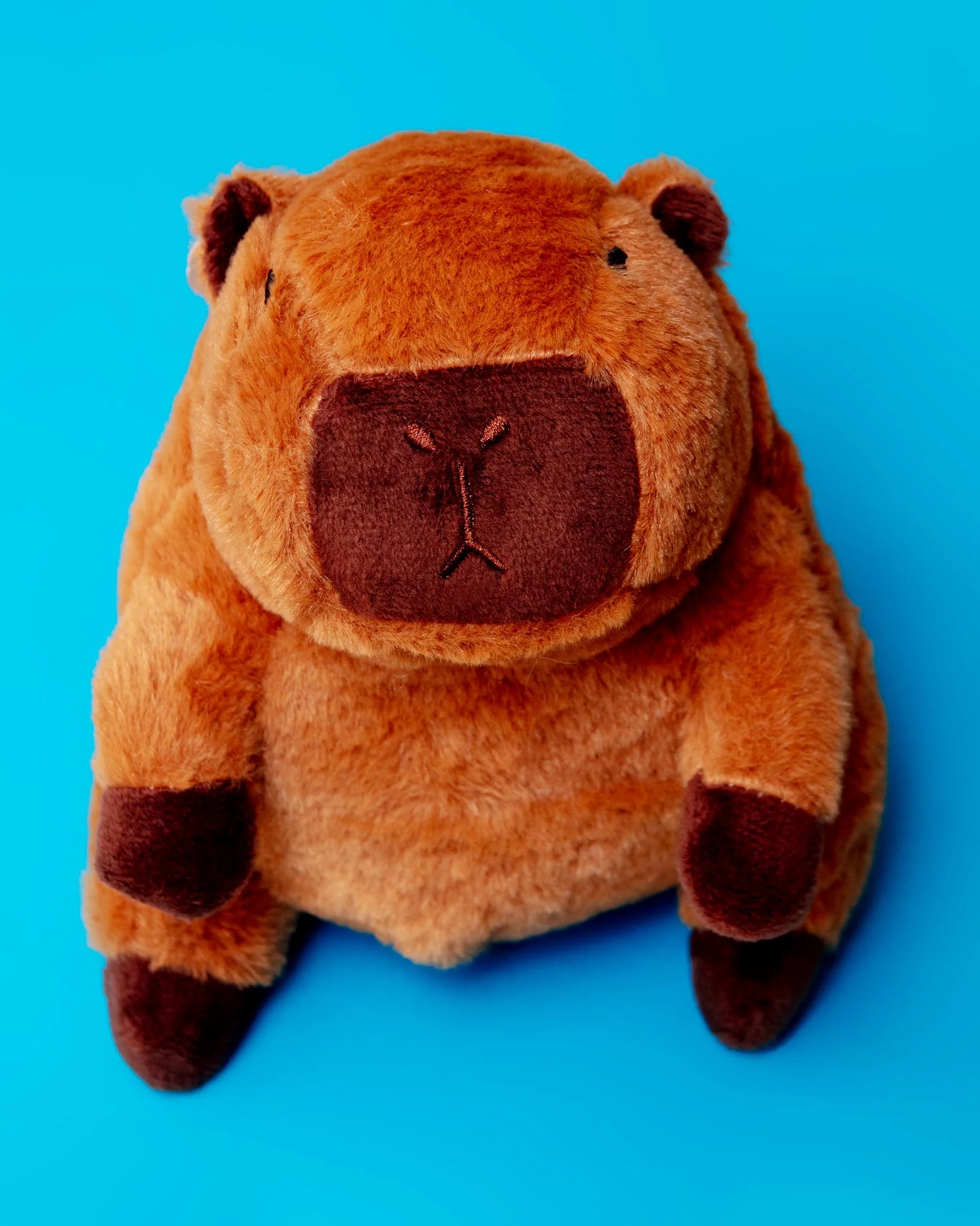 Cappy Squeaker Dog Toy (8") - Image 3