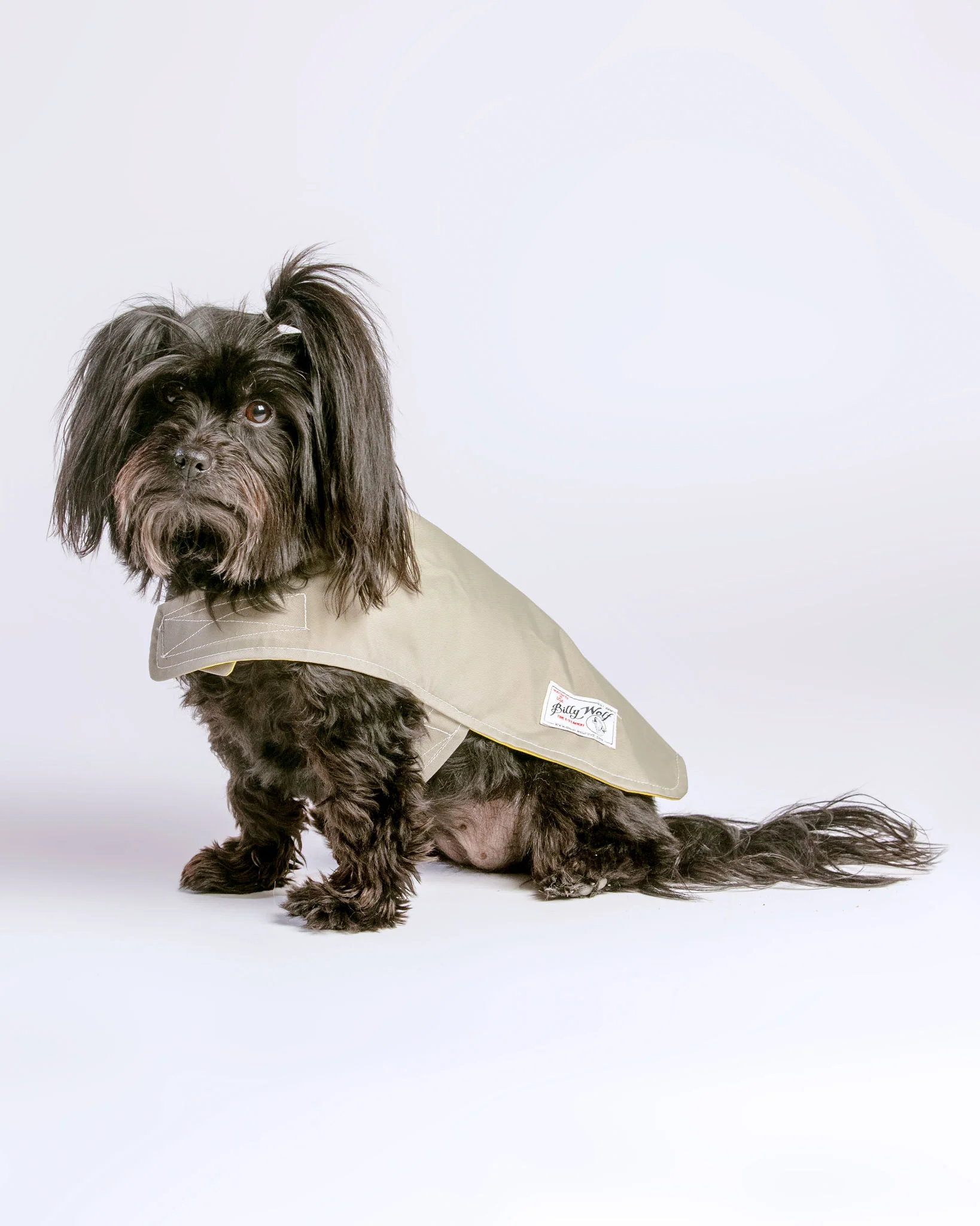 Carson Reversible Dog Raincoat in Khaki & Yellow (Made in the USA) << FINAL SALE >> - Image 4