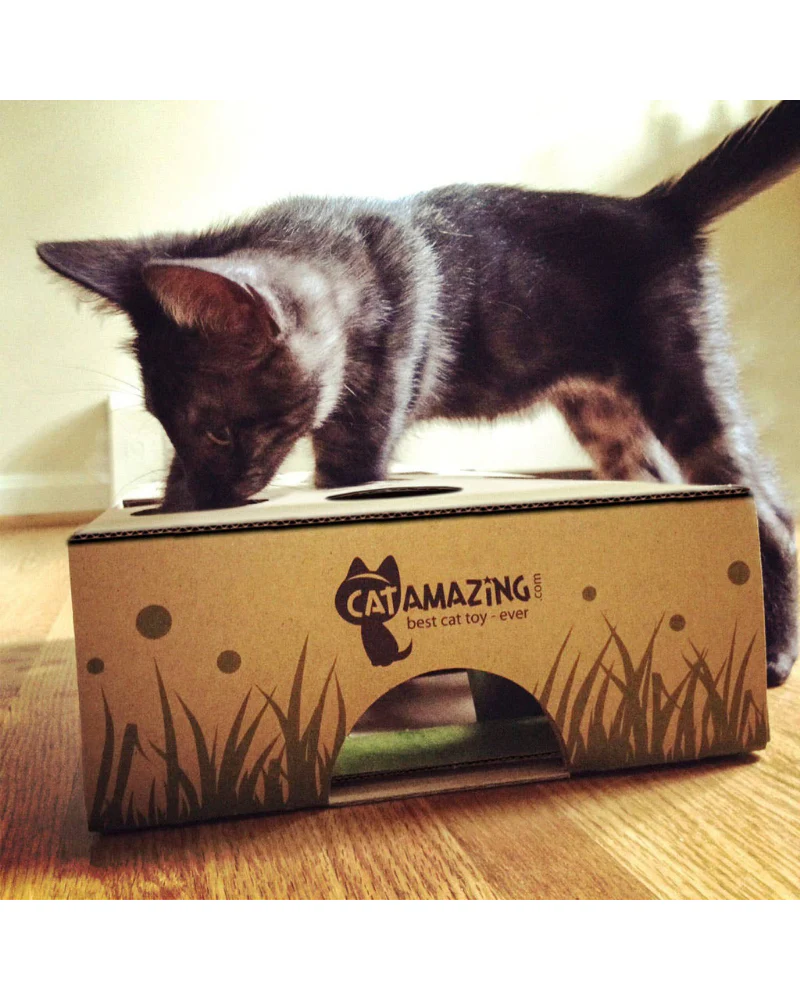 Cat Puzzle Feeder Toy << FINAL SALE >> - Image 4