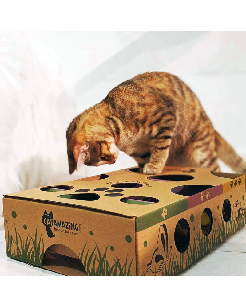 Cat Puzzle Feeder Toy << FINAL SALE >> - Image 5