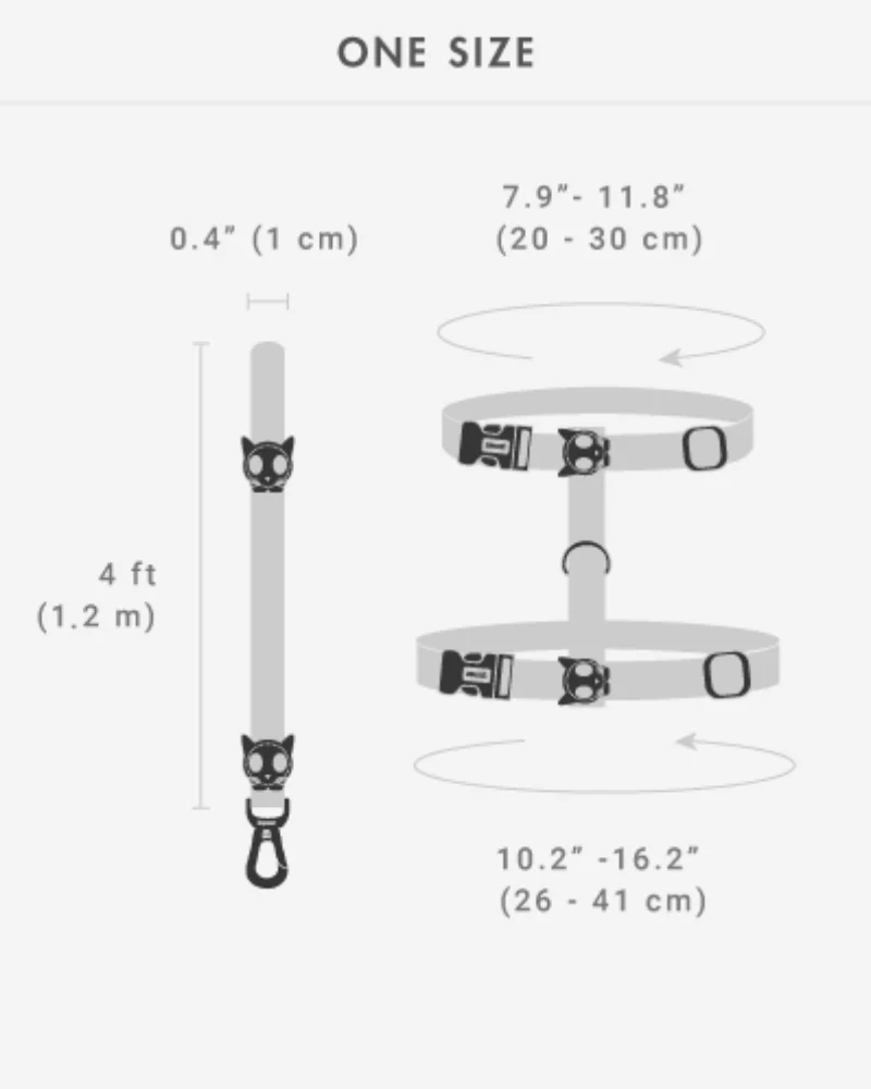 Cat Harness with Leash in Canyon - Image 3