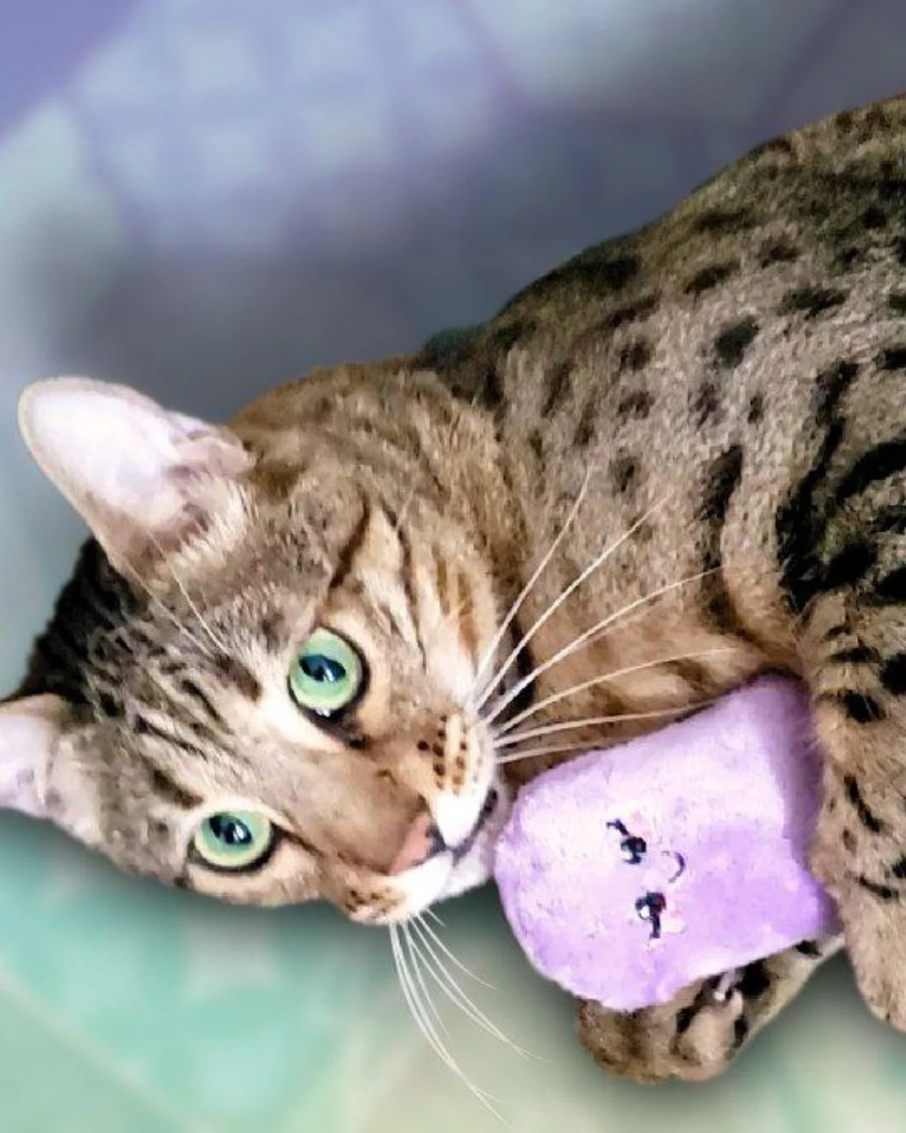 Catnip Fur-ezze Pop Cat Plush Toy (Made in the USA) - Image 8